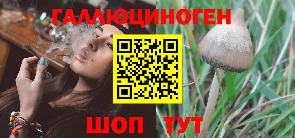 Псилоцибиновые грибы мицелий Самара