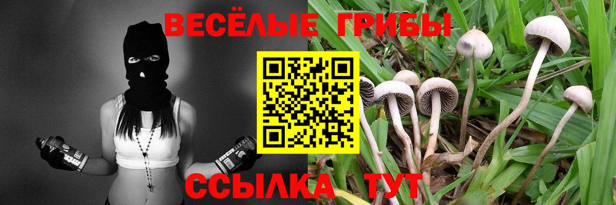 Галлюциногенные грибы Cubensis  Вход с VPN  Псилоцибиновые грибы Psilocybe  Самара 